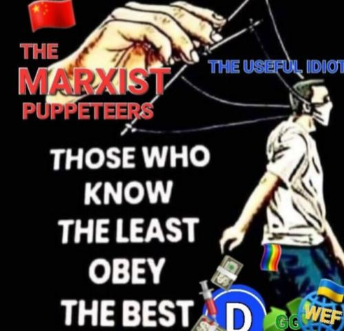 Screenshot_20240221_184141_Gallery