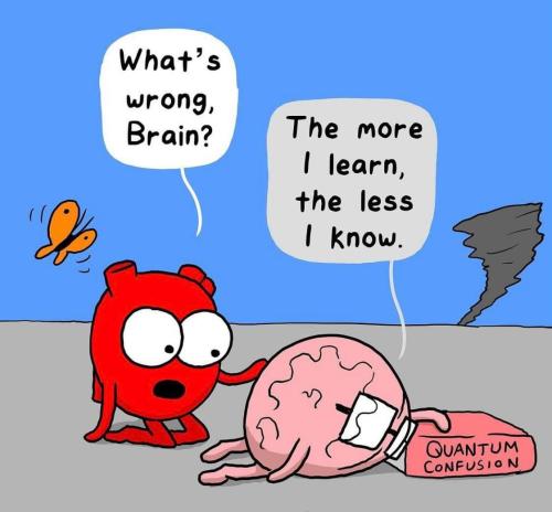 IMG_20240216_080409_095