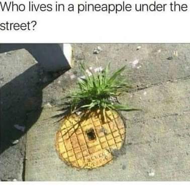 FB_IMG_1707979976810