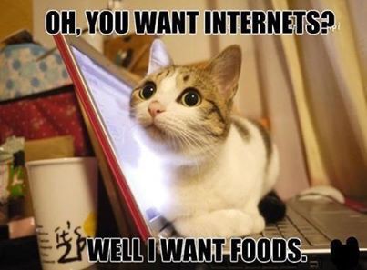 102d9e370ca10d0d6526f6495448f536