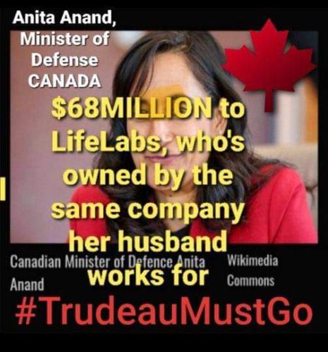 anita anands husband