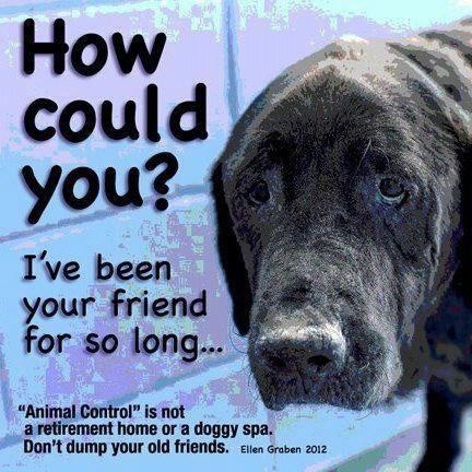 5577727b660cecd9e40f7920538e1275