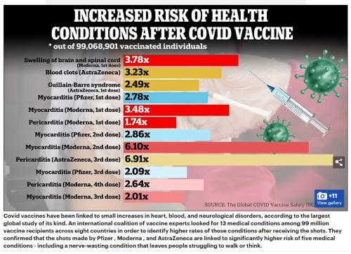Vaccine Health Risk 2024