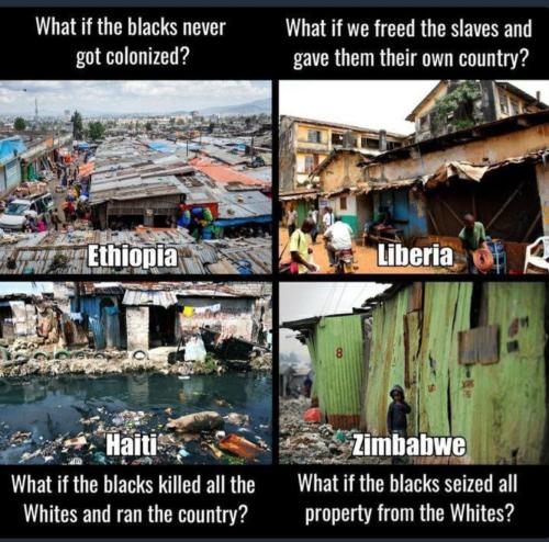 IMG_20240217_161630_794