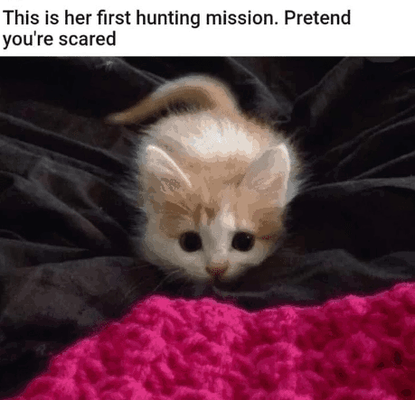 this-is-her-first-hunting-mission-pretend-scared