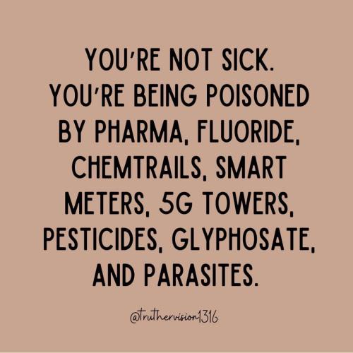 IMG_20240206_055145_864