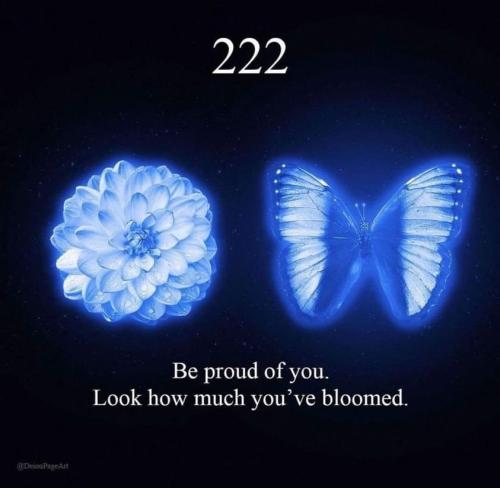 428646631_703019022032283_7498390598991271621_n