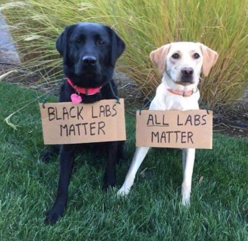 IMG_20240202_011852_143