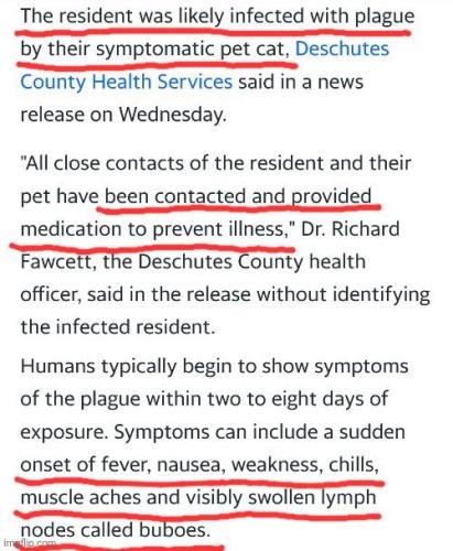 IMG_20240213_010204_098