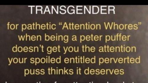 photo_2024-02-25+15_45_55++0000