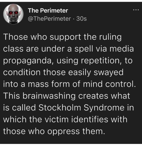 IMG_20240204_224809_117