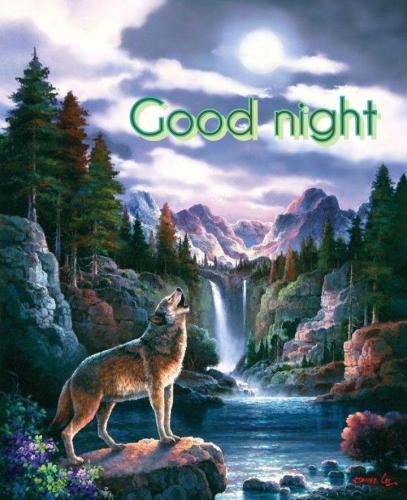 Good Night Wolf