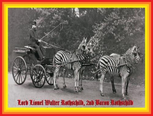 htna0s7tnyv41-1756877838