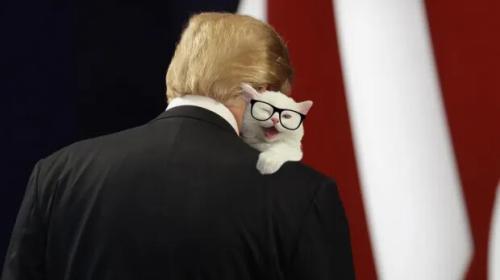 MjAxNzcwOTI5NzIwNjY1OTcy