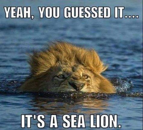 9ae608c4c02eaa850906d80d485e6c09