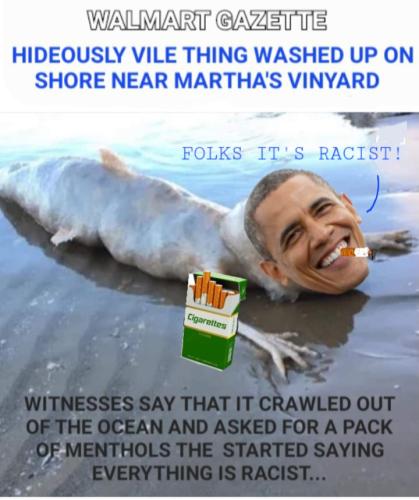 Screenshot_20240206_143429_Gallery