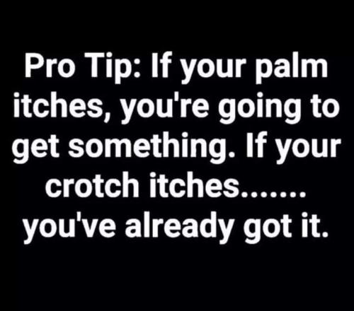 FB_IMG_1708454246913