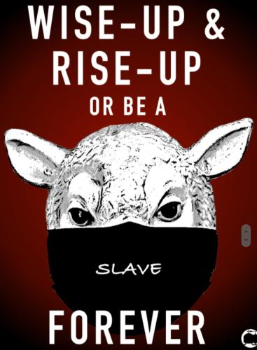 Screenshot_20240212_000059_Samsung Internet