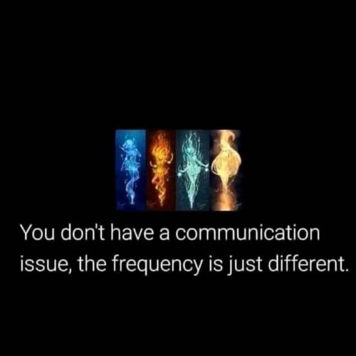 417533456_1513530132547468_6474829089062908346_n