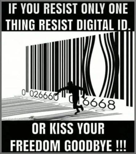 photo_2024-01-31_22-38-53