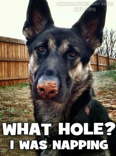 eb27979acf2b37a3db1ad99d85d5c331