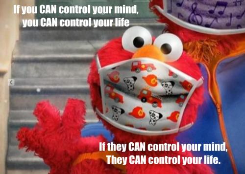 1bbffca0-047f-44ad-8eaf-e326393c0907_2274x1620