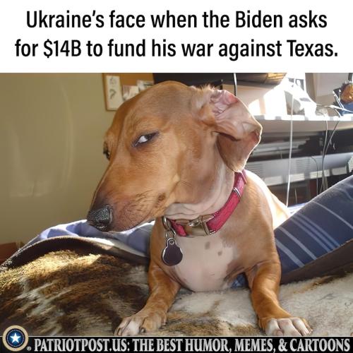 0000000000000000000000000000000000000000000000000000000000000000000000000000000000000000000000000000000000000000000000000000000000000000000000000000000000000000000000000000000000000000000000000000000000nbi