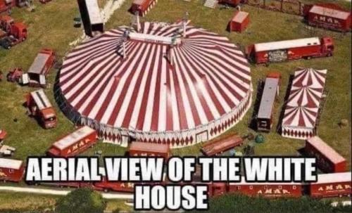 FB_IMG_1708388412854