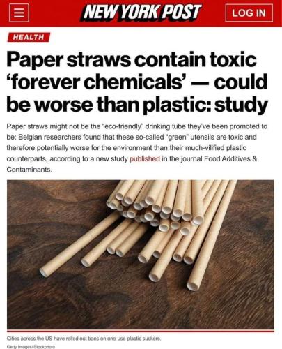 paper straws