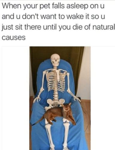 FB_IMG_1707982155790