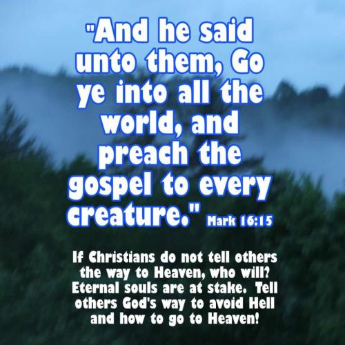 45758d2e-dbd3-4e39-8aa1-f1e0844961d5