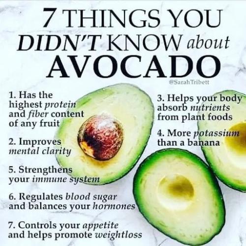 ,      545159_51961123140246