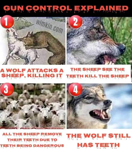 xephula_46c0eb6210a93e3d1e1a181130f43e47