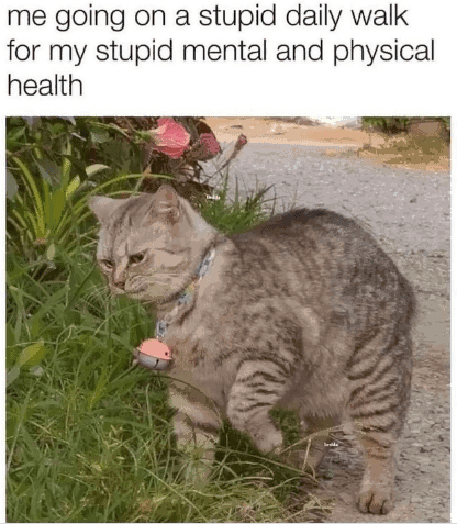 going-on-stupid-daily-walk-my-stupid-mental-and-physical-health-da