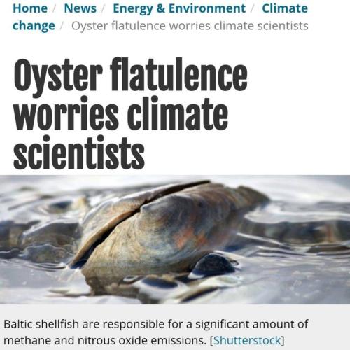 oyster farts