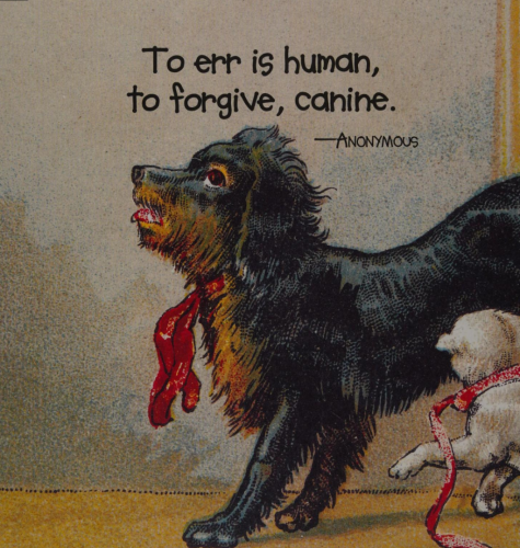 Screenshot_2024-02-05-20-22-36_kindlephoto-384598619