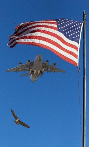 eef814b6c8f48184ba3e91dbdb3576dc