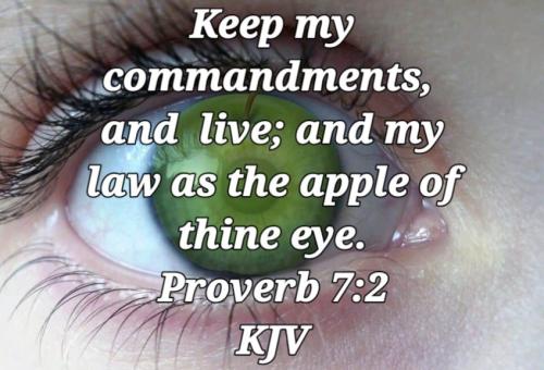 01:41:24 GMT-0800 (PST)