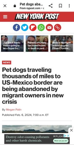 Screenshot_20240206_164316_Chrome