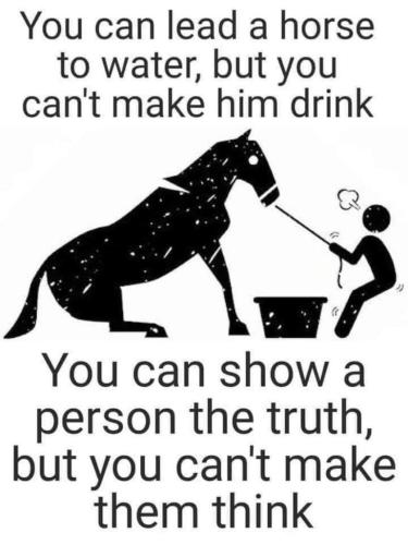 33354de8-966b-469a-81f4-cc2b6d3da1a2