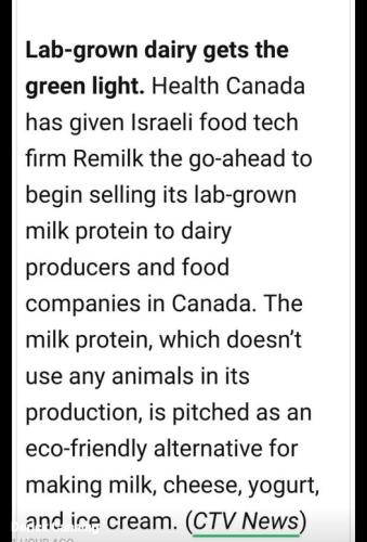 lab grown dairy