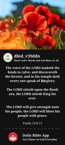 2024-02-031707019770866