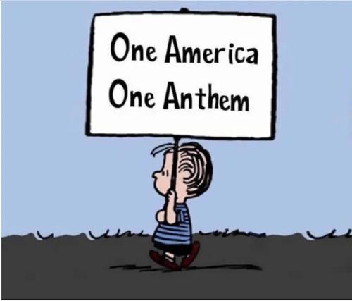 sngine_922345a5c1e364d4286a13a2a0af00f7