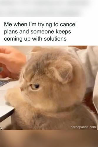 7150cd0b26accf1d7a181dca77b455f5