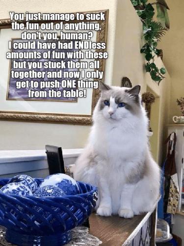 59f37759ae71f820e2700b7551f6a513