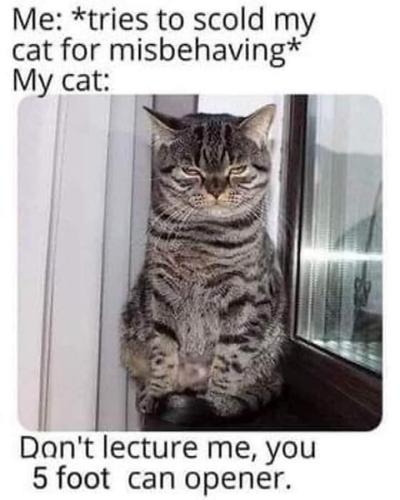 FB_IMG_1707144519938