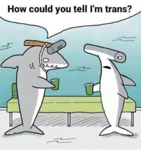 FB_IMG_1709147839010