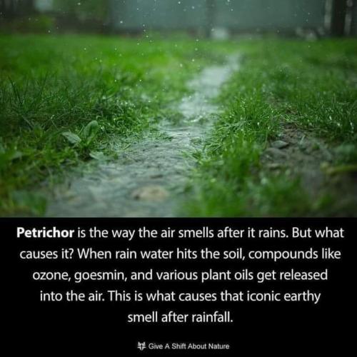 FB_IMG_1708487550213
