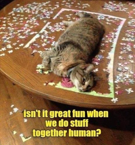 dfca3ea8c75c177d25f2b52a09fb50d6