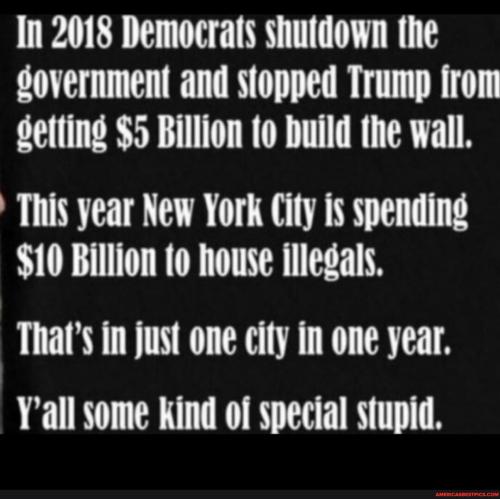 442bbf5e5e3fb9b919ed8cc7c2beace71e5967e135fc4440799250e6bda2b8ef_1